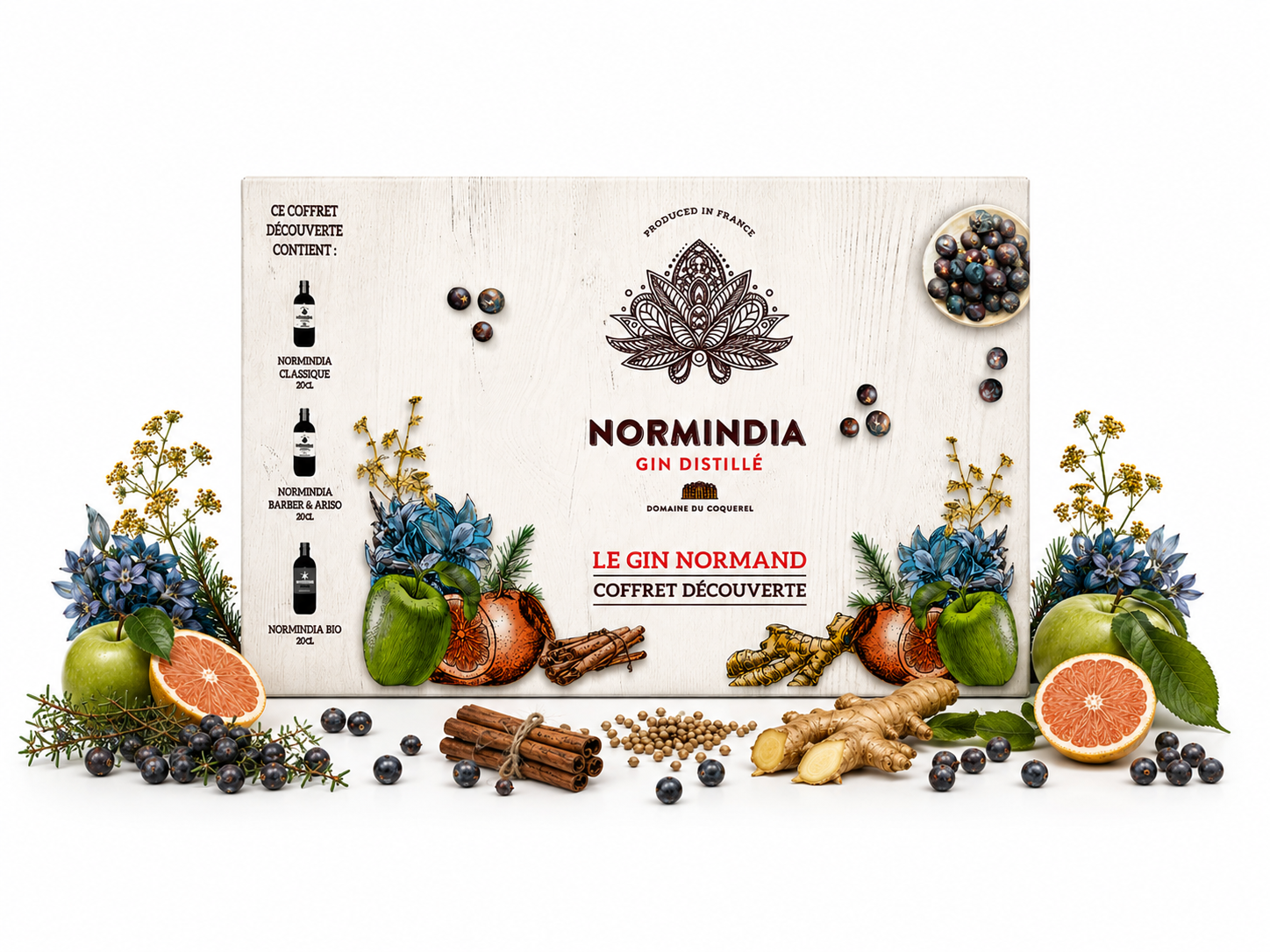 GIN NORMINDIA 42.1% 3x20CL